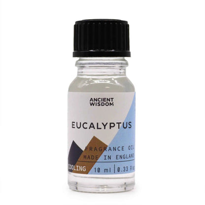 Ancient Wisdom Eucalyptus Fragrance Oil 10ml Long Lasting Diffusion - Everyday Bargainz