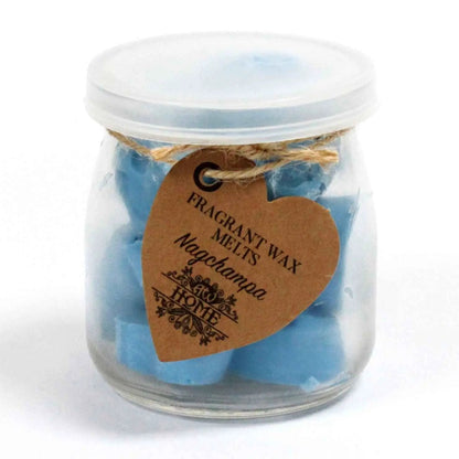 Ancient Wisdom Soy Wax Melts Jar Nag Champa Scent Fragrance - Everyday Bargainz