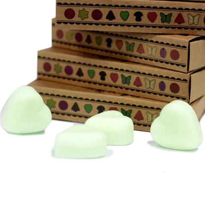 Ancient Wisdom Watermelon Fresh Natural Soy Wax Melts Box 6 - Everyday Bargainz