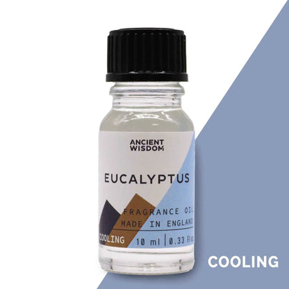 Ancient Wisdom Eucalyptus Fragrance Oil 10ml Long Lasting Diffusion - Everyday Bargainz
