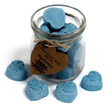 Ancient Wisdom Soy Wax Melts Jar Nag Champa Scent Fragrance - Everyday Bargainz