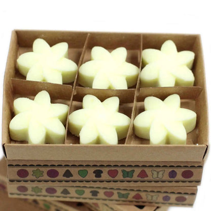 Ancient Wisdom Natural Soy Wax Melts Lemon Harvest Box of 6 - Everyday Bargainz
