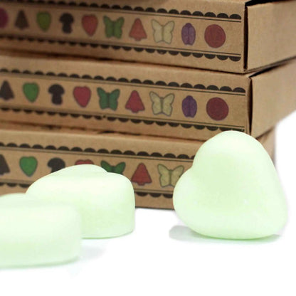 Ancient Wisdom Watermelon Fresh Natural Soy Wax Melts Box 6 - Everyday Bargainz