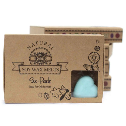Ancient Wisdom Nag Champa Natural Soy Wax Melts Box Of Six - Everyday Bargainz