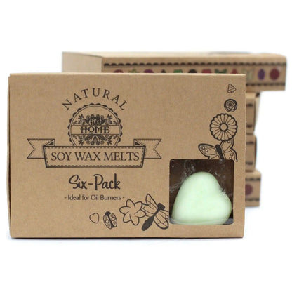 Ancient Wisdom Watermelon Fresh Natural Soy Wax Melts Box 6 - Everyday Bargainz
