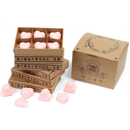 Ancient Wisdom Dragon's Blood Natural Soy Wax Melts Box 6 - Everyday Bargainz