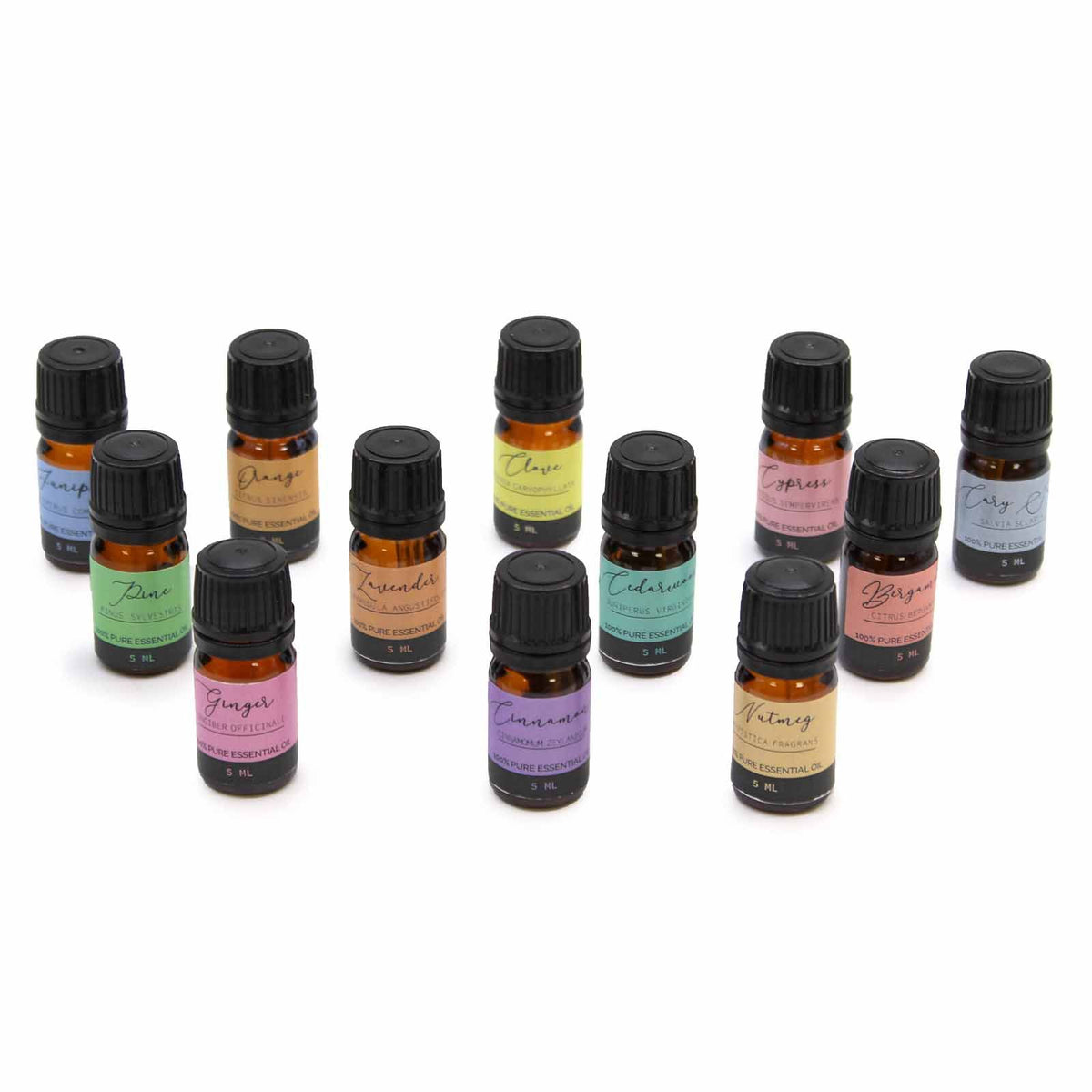 Transform Your Space with Our Aromatherapy Essential Oil Set - Autumn Collection