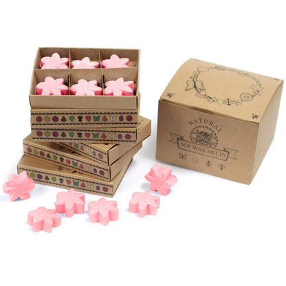 Ancient Wisdom Soy Wax Melts Japanese Magnolia Box Of 6 - Everyday Bargainz