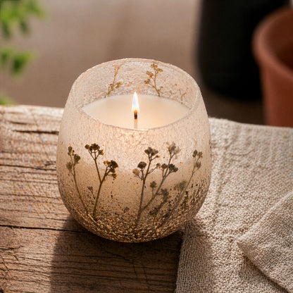 AW Dropship UK Medium Glass Jar Candles - Wildlight Woods - Glass Jar Candles
