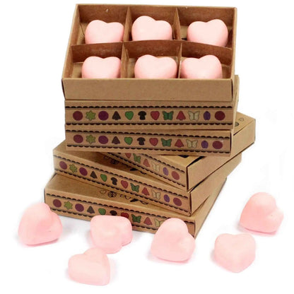 Ancient Wisdom Dragon's Blood Natural Soy Wax Melts Box 6 - Everyday Bargainz