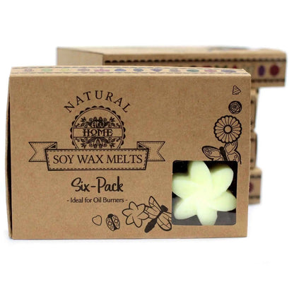 Ancient Wisdom Natural Soy Wax Melts Lemon Harvest Box of 6 - Everyday Bargainz
