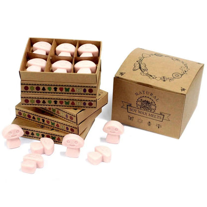 Ancient Wisdom Natural Soy Wax Melts Old Ginger Box Of 6 - Everyday Bargainz