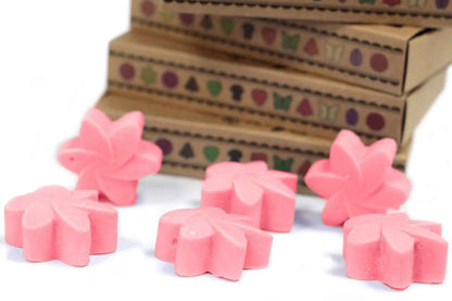 Ancient Wisdom Soy Wax Melts Japanese Magnolia Box Of 6 - Everyday Bargainz