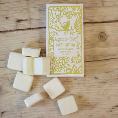 Agnes And Cat Fresh Citrus Box Of 8 Handmade Soy Wax Melts - Everyday Bargainz