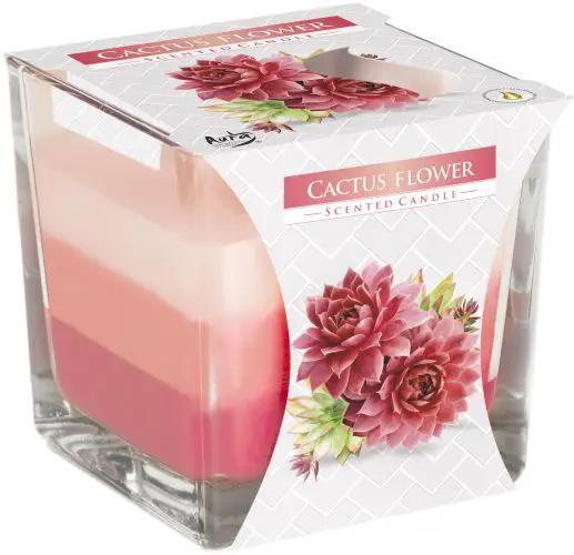 AW Dropship UK Rainbow Jar Candle - Cactus flower - Rainbow Jar Candle