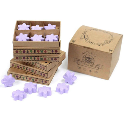Ancient Wisdom Lavender Fields Soy Wax Melts Box Of 6 - Everyday Bargainz