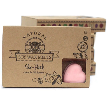 Ancient Wisdom Dragon's Blood Natural Soy Wax Melts Box 6 - Everyday Bargainz