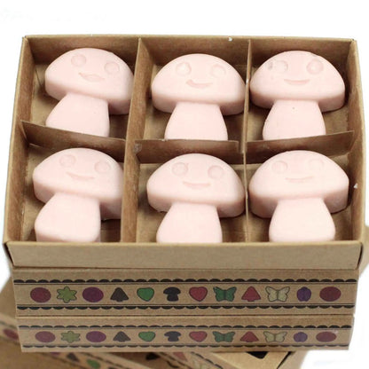 Ancient Wisdom Natural Soy Wax Melts Old Ginger Box Of 6 - Everyday Bargainz