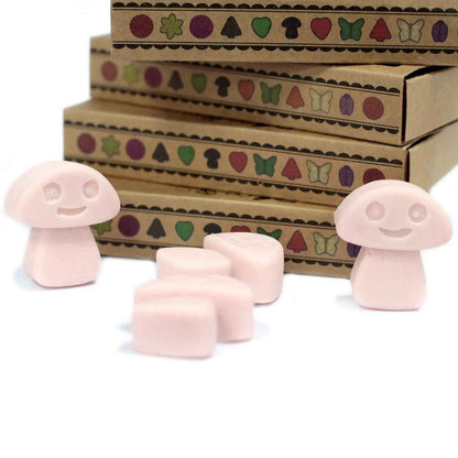 Ancient Wisdom Natural Soy Wax Melts Old Ginger Box Of 6 - Everyday Bargainz