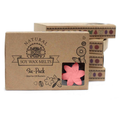 Ancient Wisdom Soy Wax Melts Japanese Magnolia Box Of 6 - Everyday Bargainz