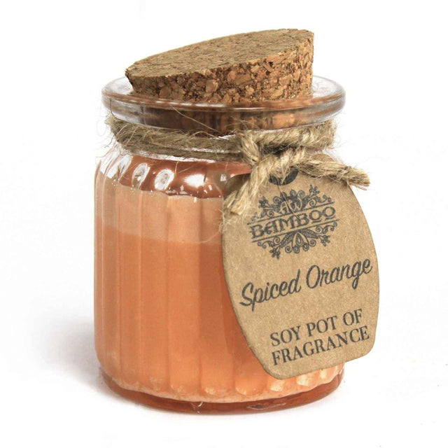 Ancient Wisdom Spiced Orange Soy Pot of Fragrance Candle - Everyday Bargainz