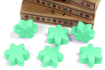 Ancient Wisdom Hidden Garden Soy Wax Melts Box Of 6 - Everyday Bargainz