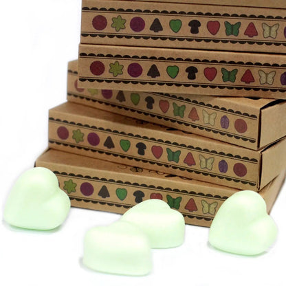 Ancient Wisdom Natural Soy Wax Melts Mint Menthol Box Of 6 - Everyday Bargainz