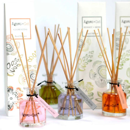 Ancient Wisdom Agnes and Cat Reed Diffusers 140ml White Fig - Everyday Bargainz
