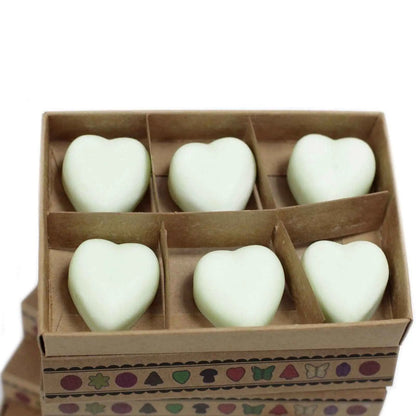 Ancient Wisdom Natural Soy Wax Melts Apple Spice Box Of 6 - Everyday Bargainz