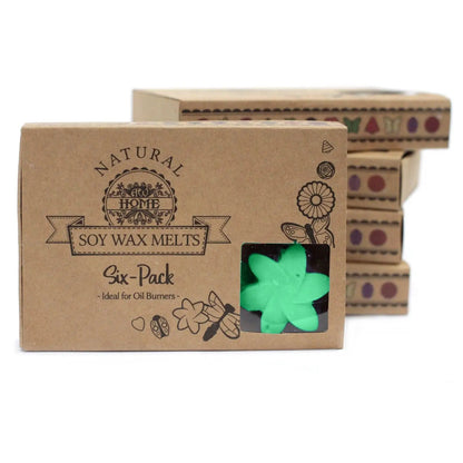 Ancient Wisdom Hidden Garden Soy Wax Melts Box Of 6 - Everyday Bargainz