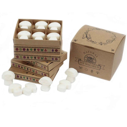 Ancient Wisdom Box Of 6 Cinnamon And Orange Natural Soy Wax Melts - Everyday Bargainz