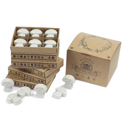 Ancient Wisdom Natural Soy Wax Melts Dark Patchouli 6 Pack - Everyday Bargainz