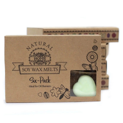 Ancient Wisdom Natural Soy Wax Melts Apple Spice Box Of 6 - Everyday Bargainz