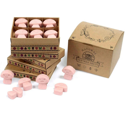 Ancient Wisdom Natural Soy Wax Melts Coffee Trader 6 Pack - Everyday Bargainz