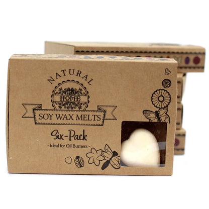 Ancient Wisdom Box Of 6 Cinnamon And Orange Natural Soy Wax Melts - Everyday Bargainz