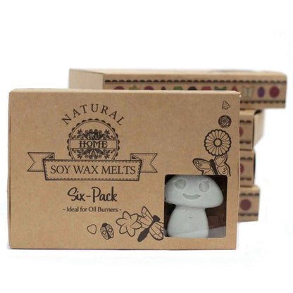 Ancient Wisdom Natural Soy Wax Melts Dark Patchouli 6 Pack - Everyday Bargainz