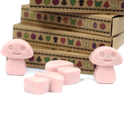 Ancient Wisdom Natural Soy Wax Melts Coffee Trader 6 Pack - Everyday Bargainz