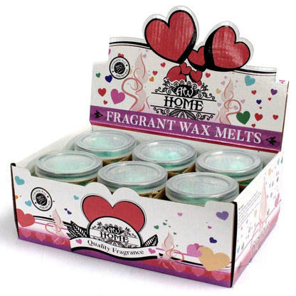 Ancient Wisdom Apple Spice Soy Wax Melts Jars Fragrance - Everyday Bargainz