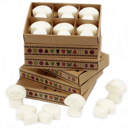 Ancient Wisdom Natural Soy Wax Melts White Musk Box Of 6 - Everyday Bargainz