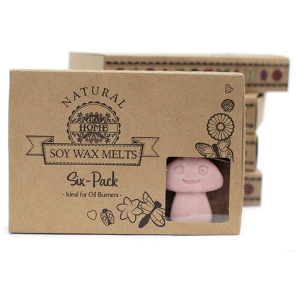 Ancient Wisdom Natural Soy Wax Melts Coffee Trader 6 Pack - Everyday Bargainz