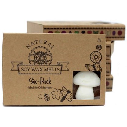 Ancient Wisdom Natural Soy Wax Melts White Musk Box Of 6 - Everyday Bargainz