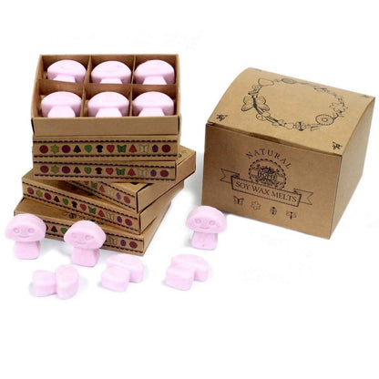 Ancient Wisdom Natural Soy Wax Melts Ylang Ylang Box 6 - Everyday Bargainz