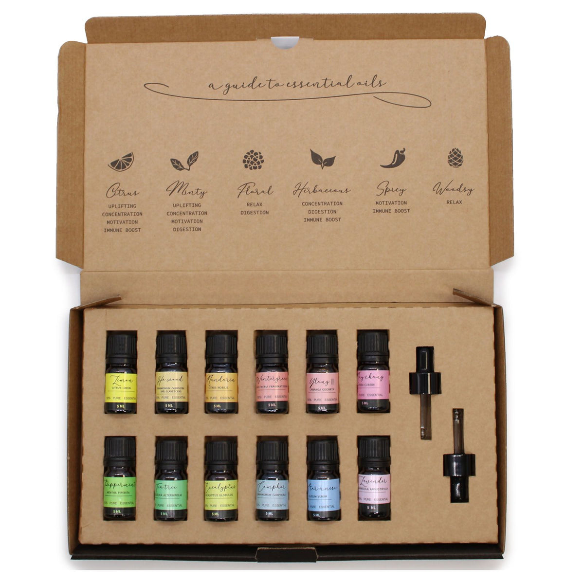 Aromatherapy Essential Oil Starter Pack - Elevate Your Space with 12 Pure Scents