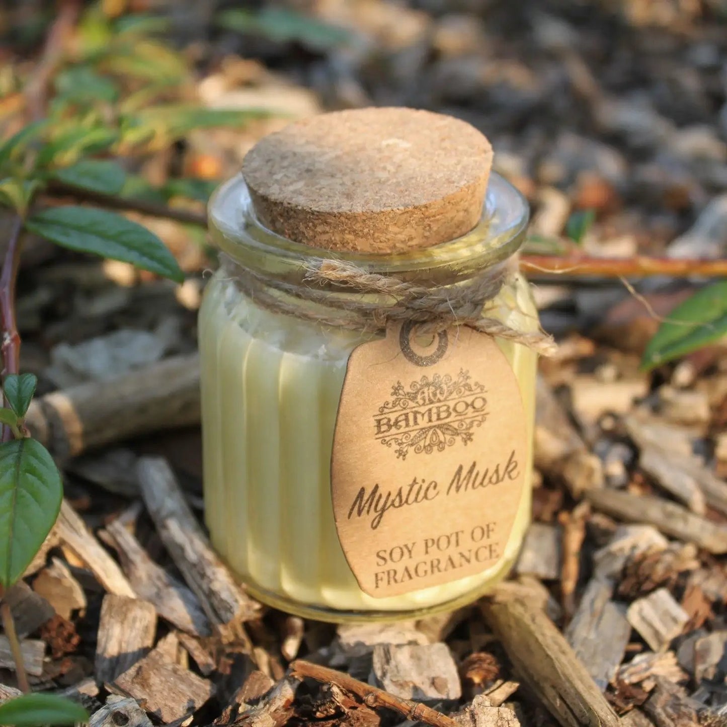 Mystic Musk Soy Pot of Fragrance Candles by AW Dropship UK