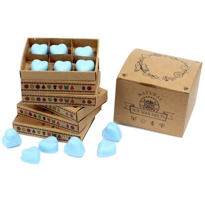 Ancient Wisdom Dewberry Soy Wax Melts Box Of 6 Natural Fragrance - Everyday Bargainz