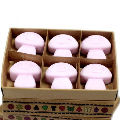 Ancient Wisdom Natural Soy Wax Melts Ylang Ylang Box 6 - Everyday Bargainz
