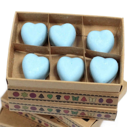Ancient Wisdom Dewberry Soy Wax Melts Box Of 6 Natural Fragrance - Everyday Bargainz