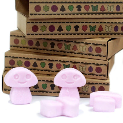 Ancient Wisdom Natural Soy Wax Melts Ylang Ylang Box 6 - Everyday Bargainz