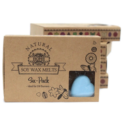 Ancient Wisdom Dewberry Soy Wax Melts Box Of 6 Natural Fragrance - Everyday Bargainz
