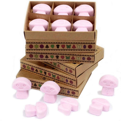 Ancient Wisdom Natural Soy Wax Melts Ylang Ylang Box 6 - Everyday Bargainz